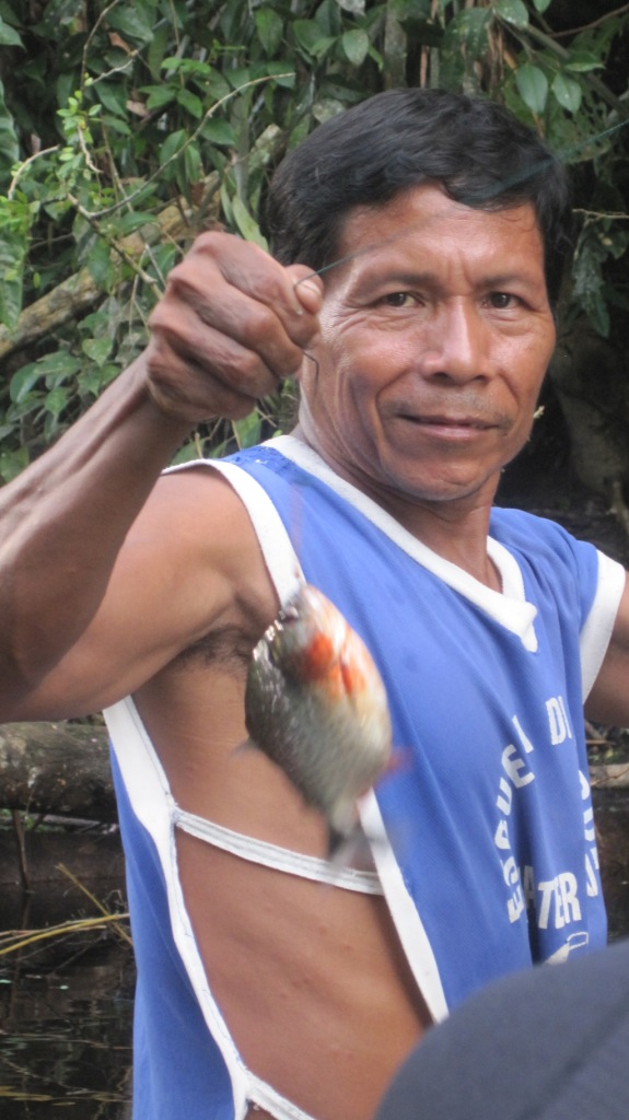 Pesca piranha